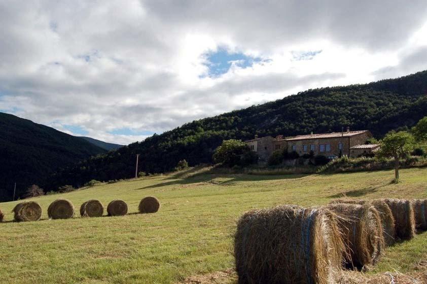 La Ferme De La Condamine Bed & Breakfast Saint-André-de-Rosans Dış mekan fotoğraf
