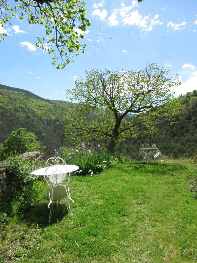 La Ferme De La Condamine Bed & Breakfast Saint-André-de-Rosans Dış mekan fotoğraf