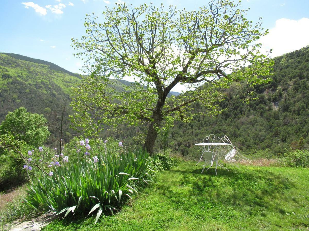 La Ferme De La Condamine Bed & Breakfast Saint-André-de-Rosans Dış mekan fotoğraf